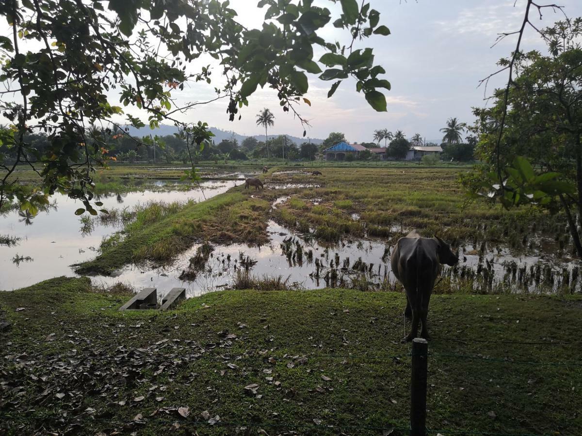 Homestay Barakah Cenang Langkawi ปันไตเจอนัง ภายนอก รูปภาพ
